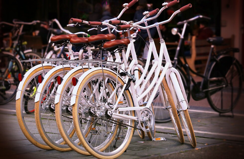 Discover a World of New Experiences: Outdoor Bike Rental